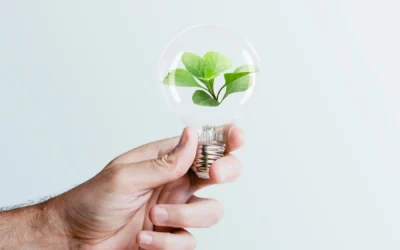 Consejos prácticos para optimizar la eficiencia energética en tu empresa y reducir tus gastos de luz y gas